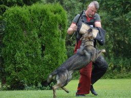 01.07.2023 offenes training 46